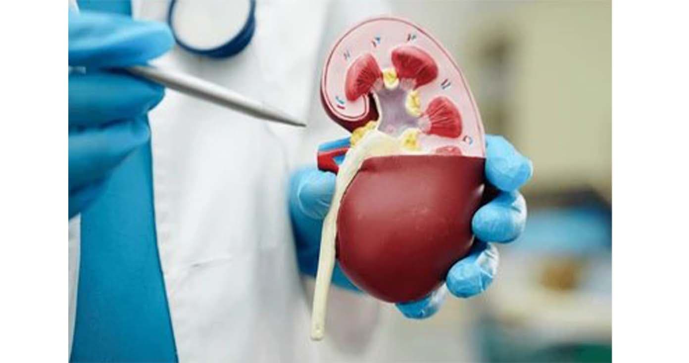 Apex hospital Blogs